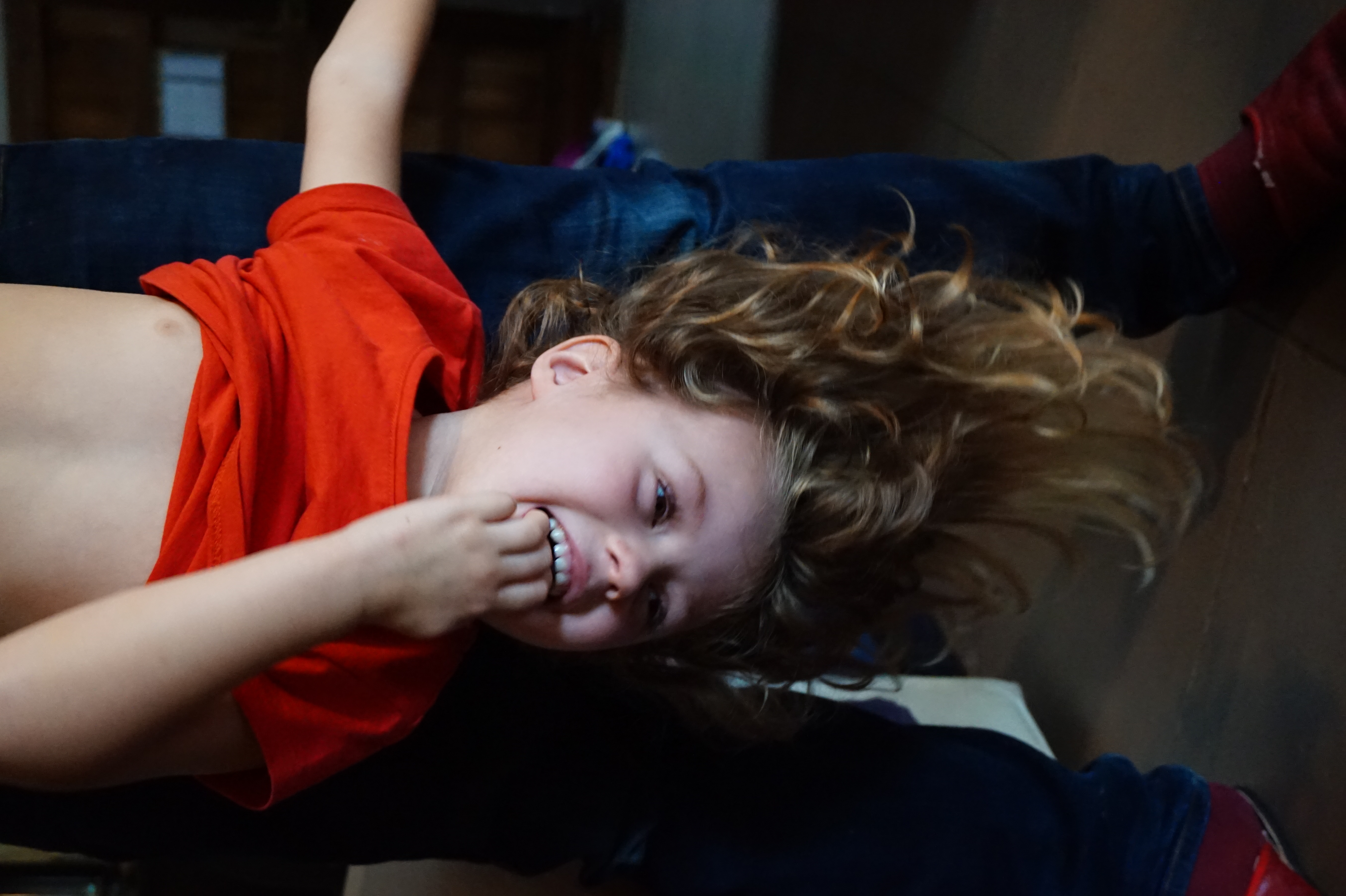 Media picture: Allow Galleries in proposals