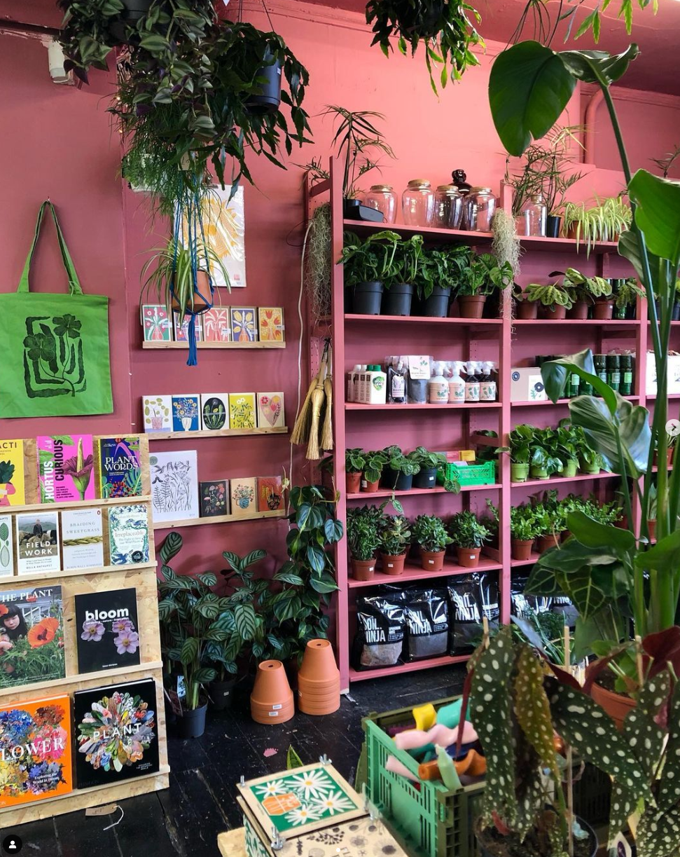 Imagen para los medios: City & Bloom Plant Shop
